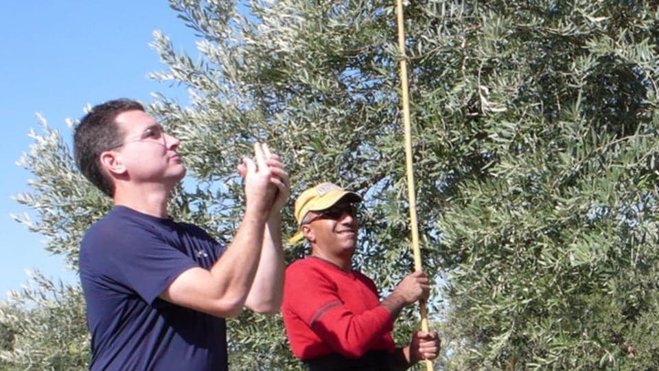 Israel: Deaf Olive Farmer