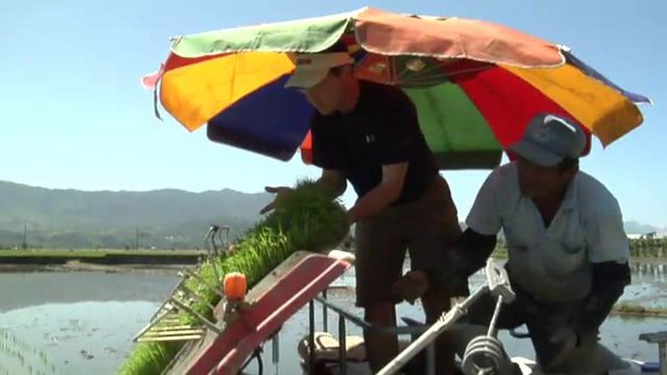 Taiwan: Deaf Rice Growers