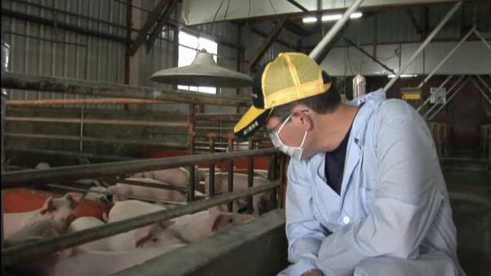 Taiwan: Deaf Pig Farm Owner