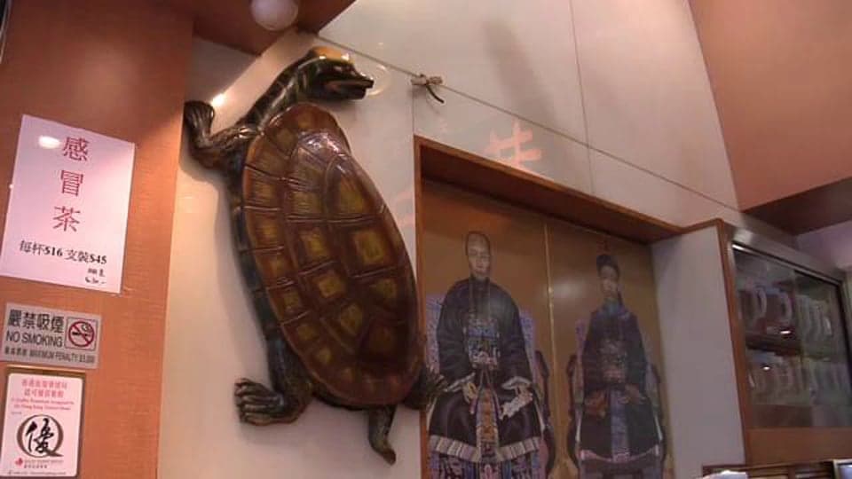 Hong Kong: Turtle Soup
