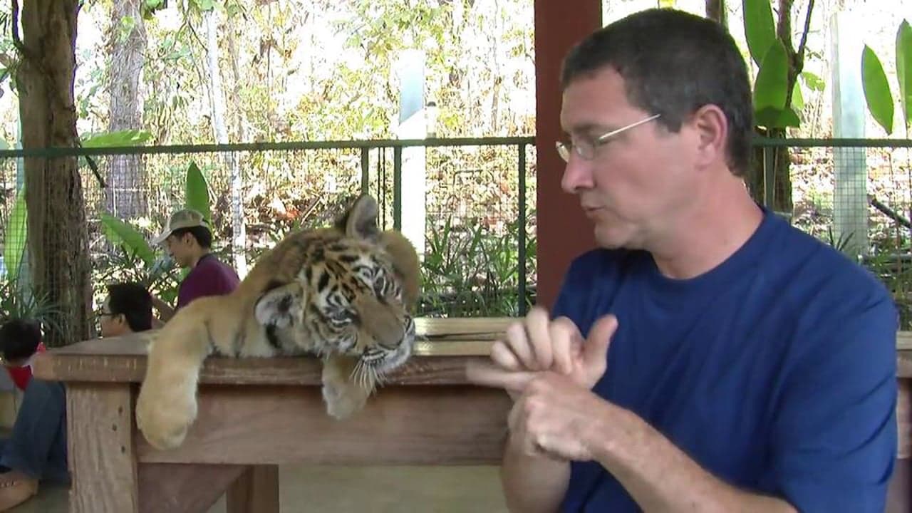 Northern Thailand: Tiger Kingdom