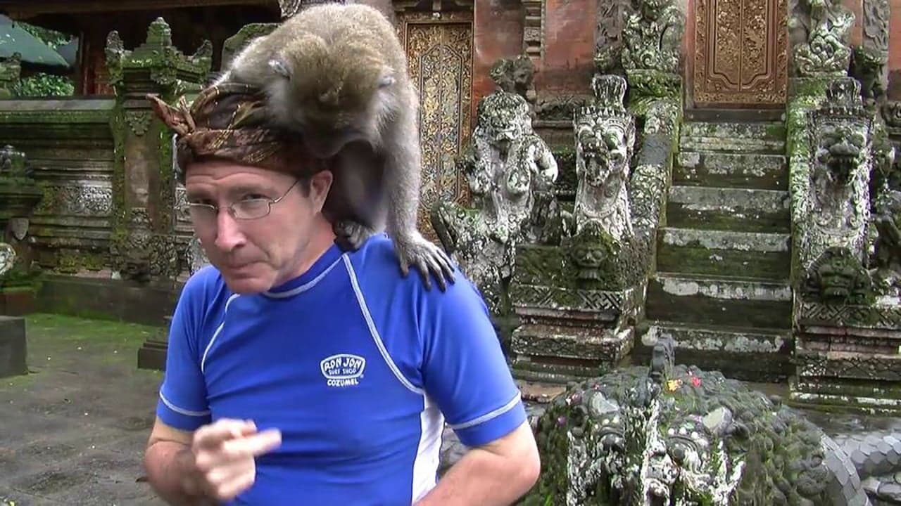 Bali: Sacred Monkey Forest