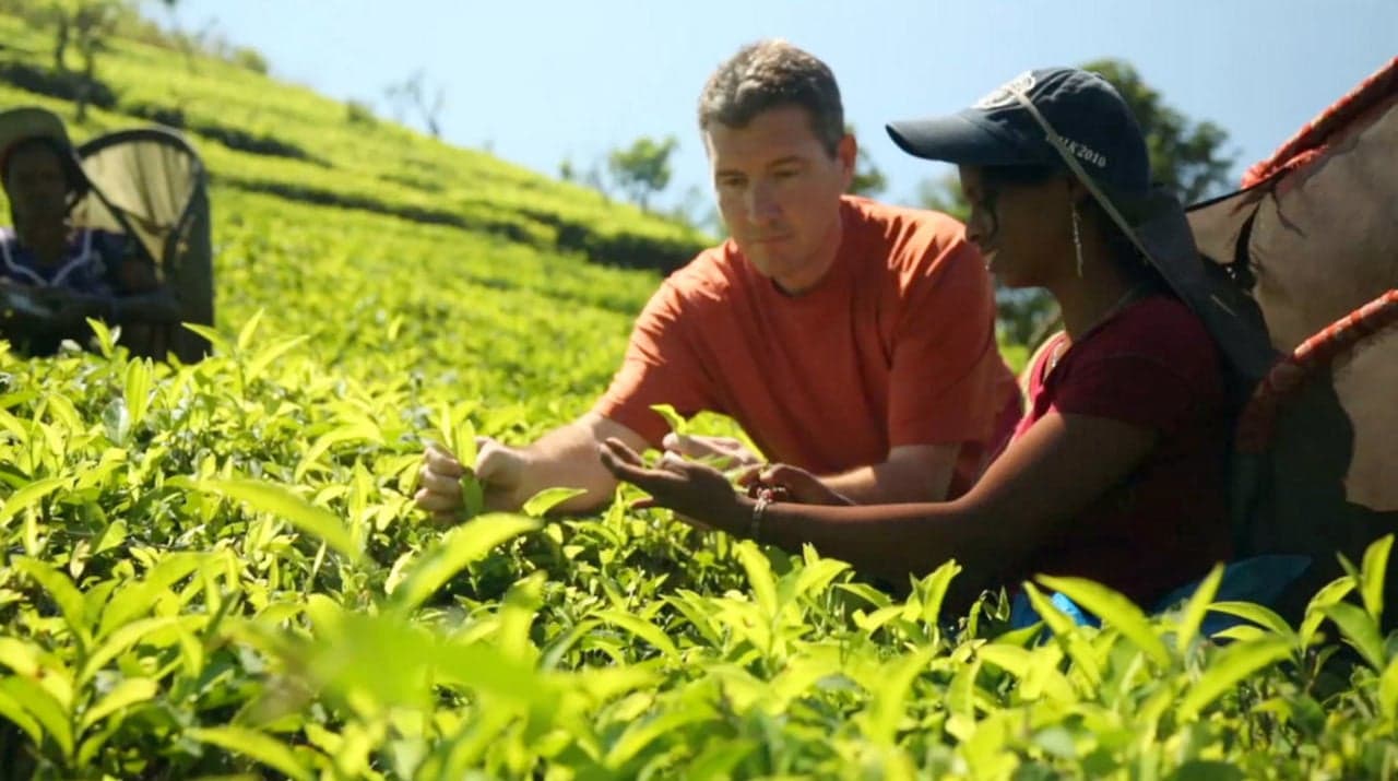 Sri Lanka: Deaf Tea Plucker