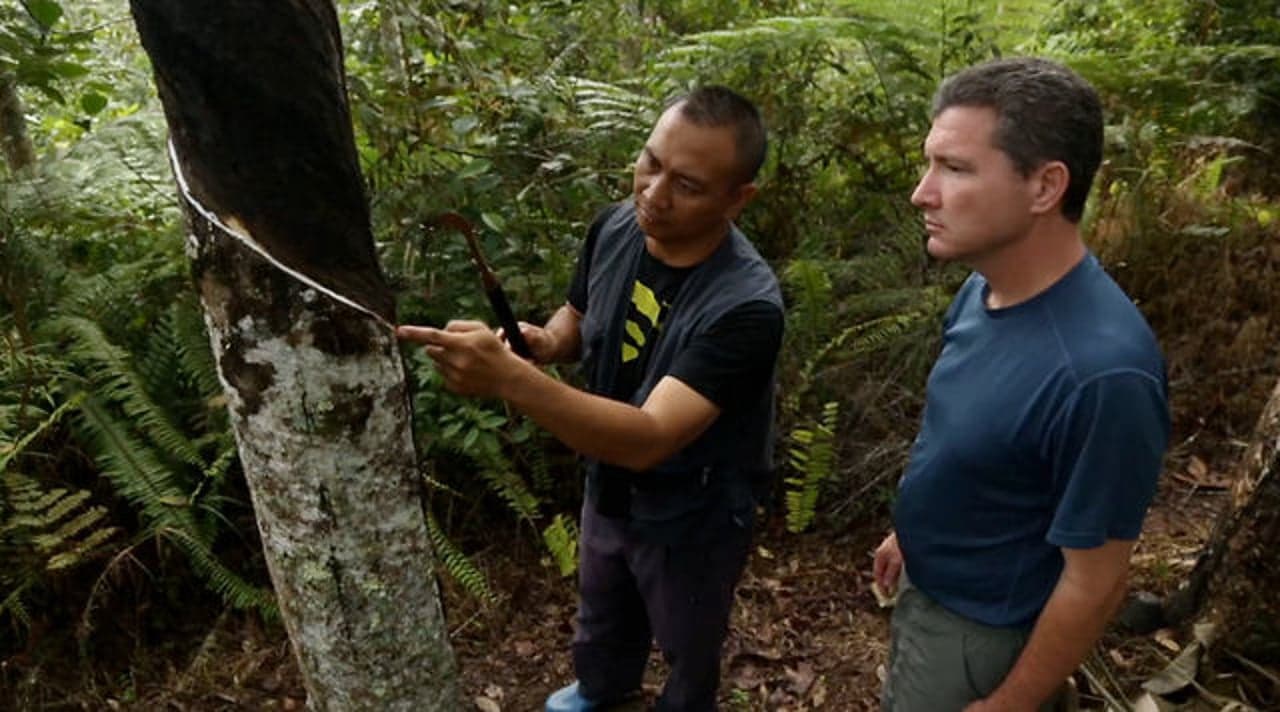 Sabah: Rubber Plantation Deaf Owner