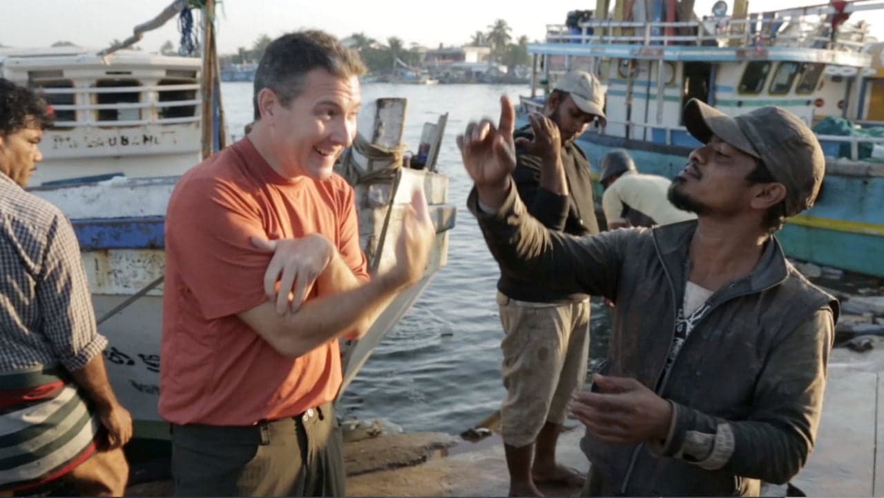 Sri Lanka: Negombo Fish Market
