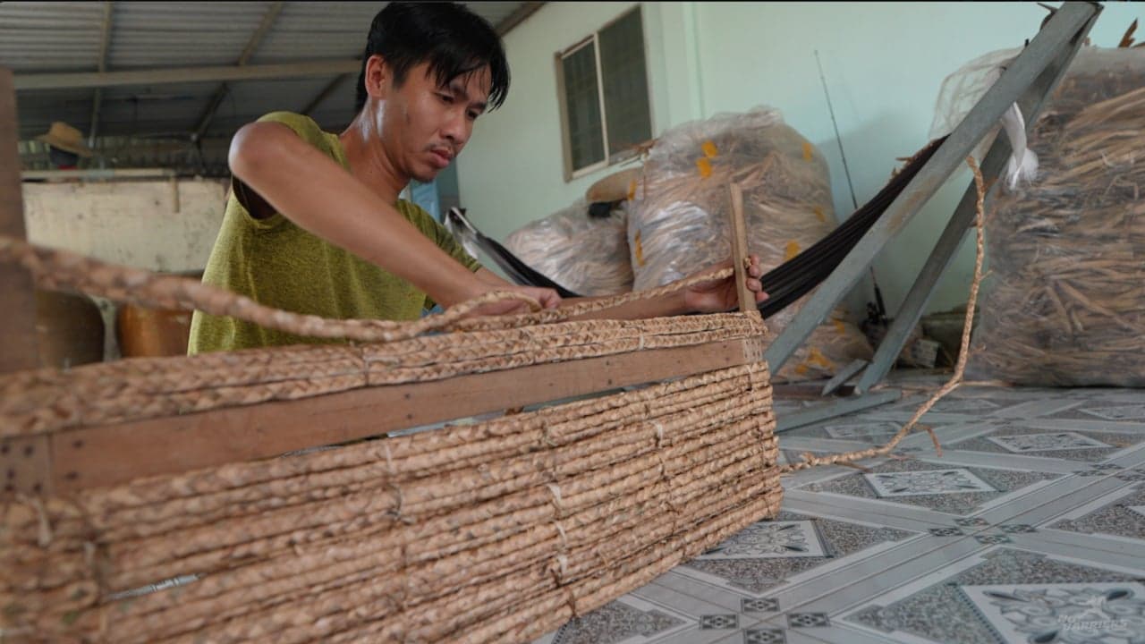 Vietnam: Deaf Hyacinth Weaver