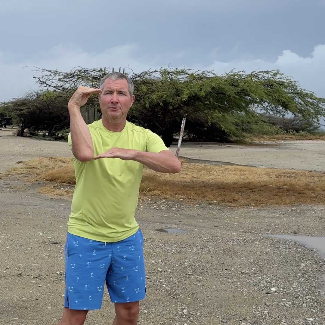 Aruba