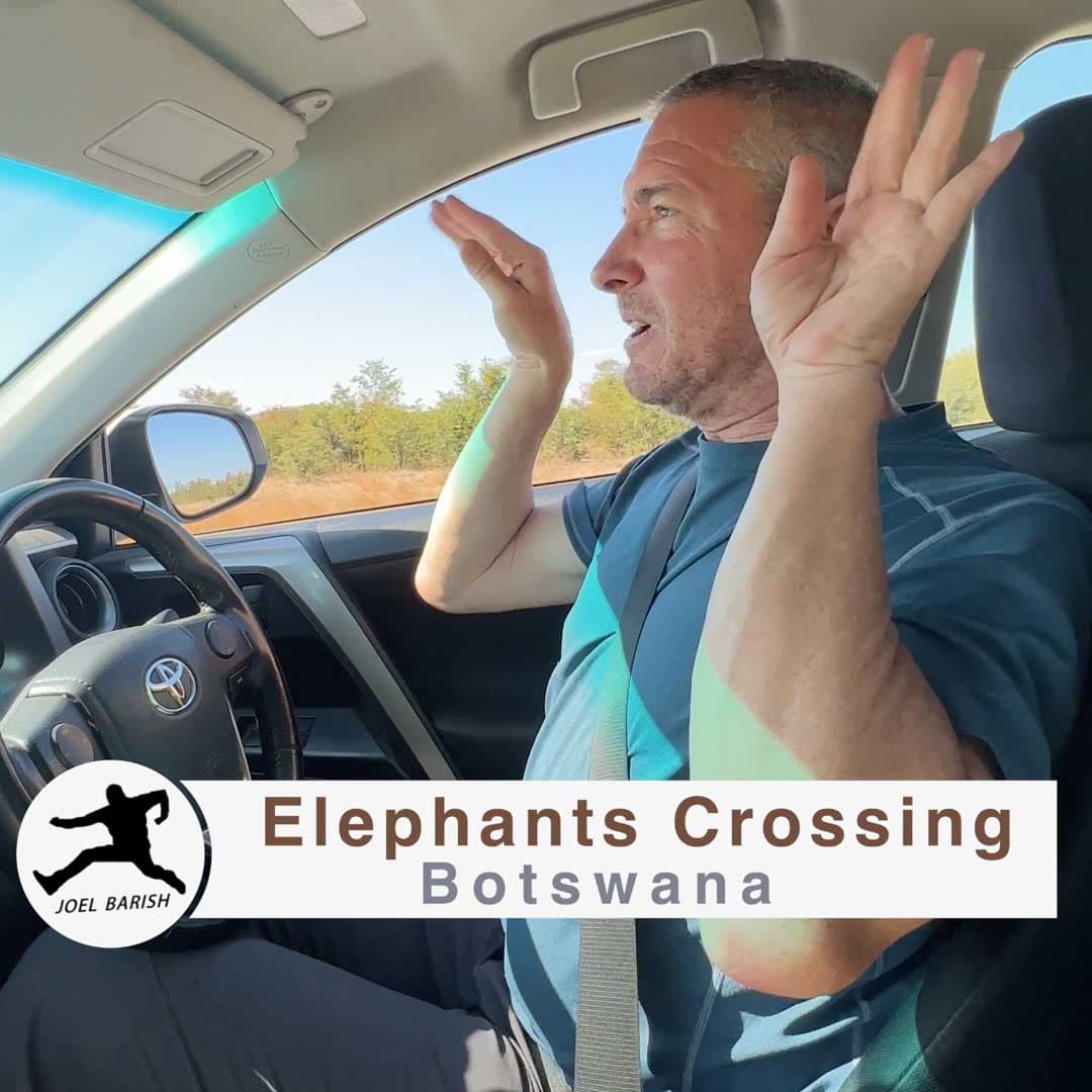 Botswana: Elephants Crossing: A Surprising Encounter on Safari