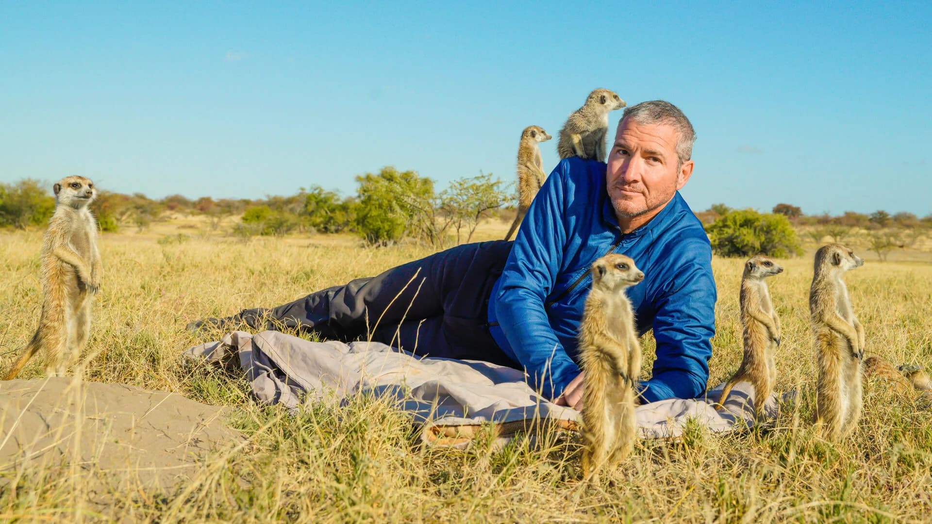 Botswana: Meet the Meerkats