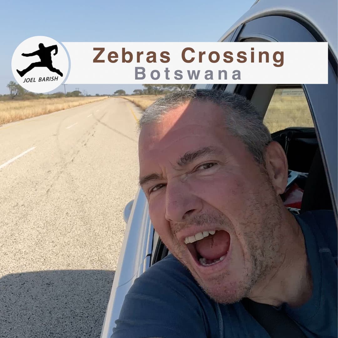 Botswana: Zebras Crossing
