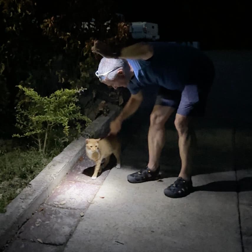 Honduras: Marble Hill Cat