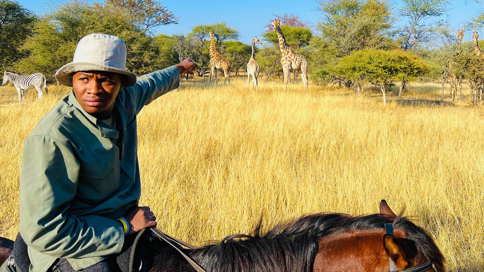 Botswana: Deaf Horse Groom
