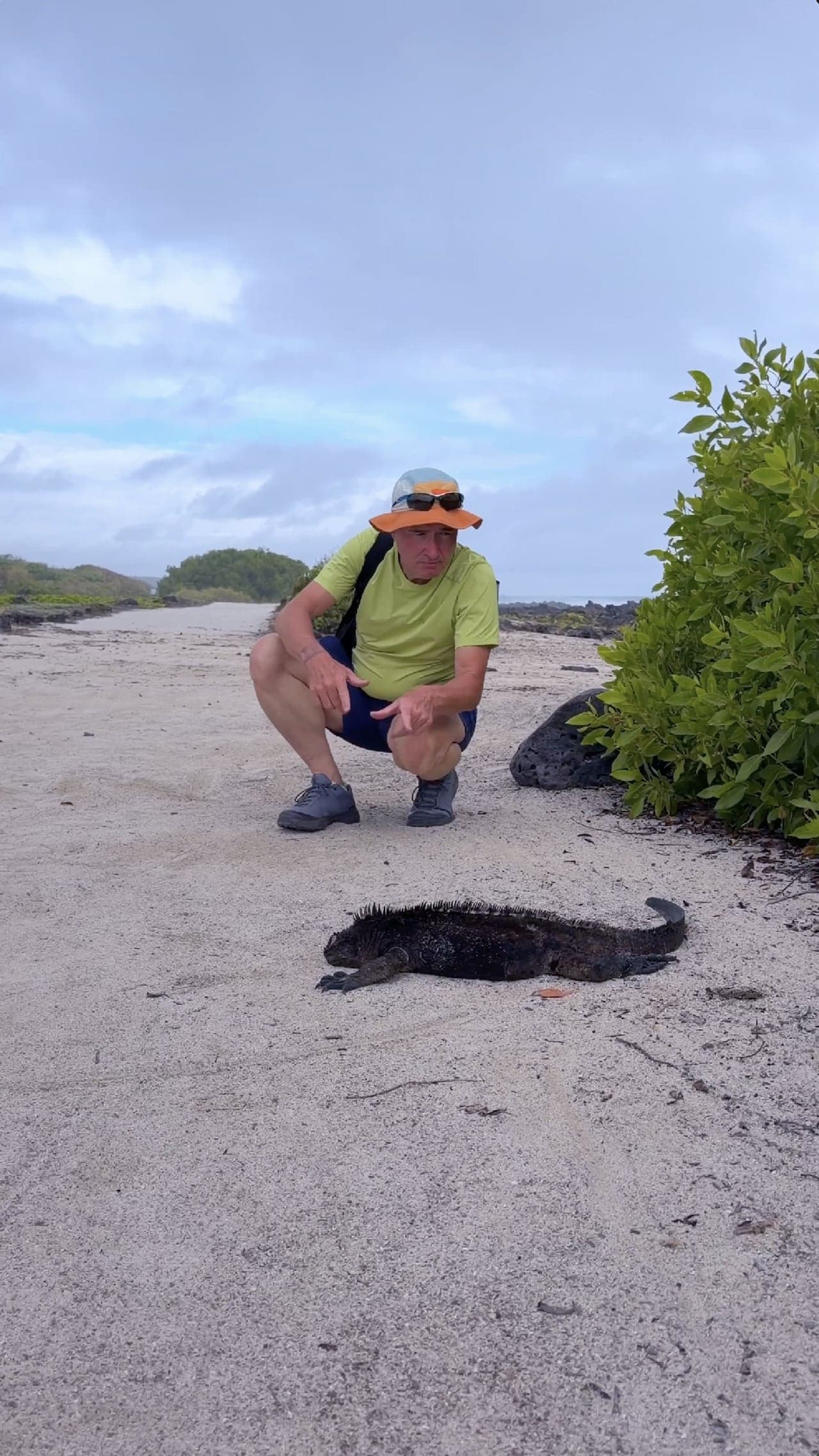 Ecuador: The Sign for “Iguana”