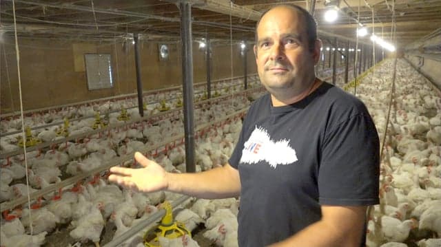 Quebec: Deaf Family’s Chicken Farm  ENGLISH SUBTITLES