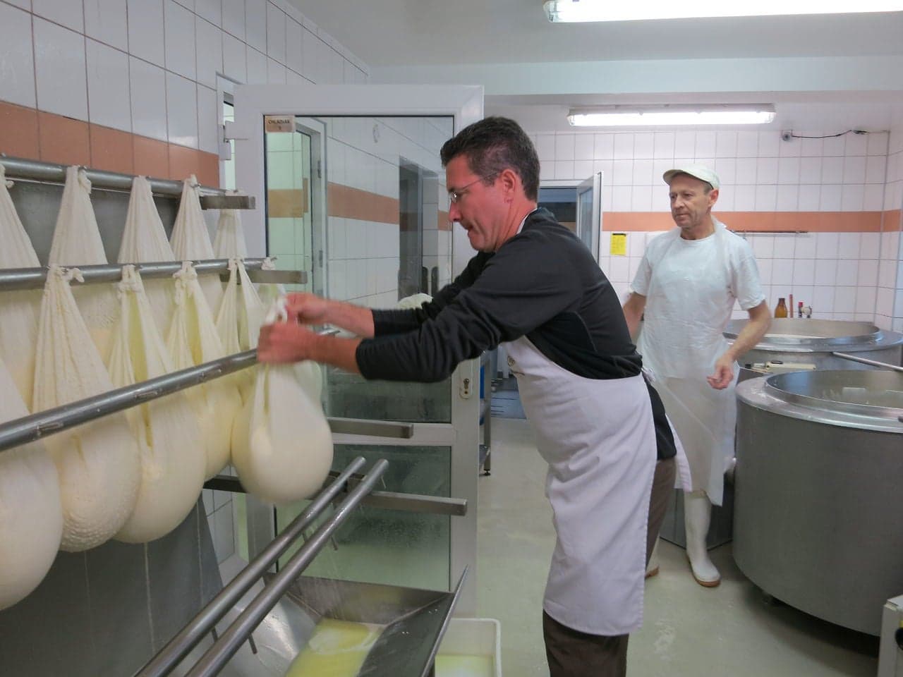 Slovakia: Handmade Cheese from Slovak Sheep