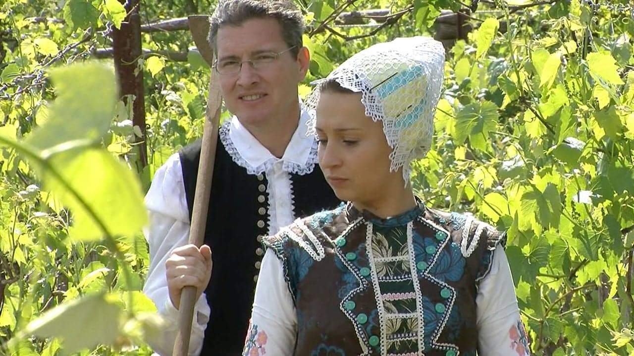 Slovakia: Journey into Local Wine & Food Experience