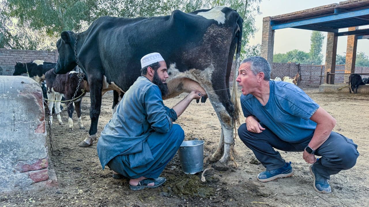Pakistan: Deaf Dairy Farmers