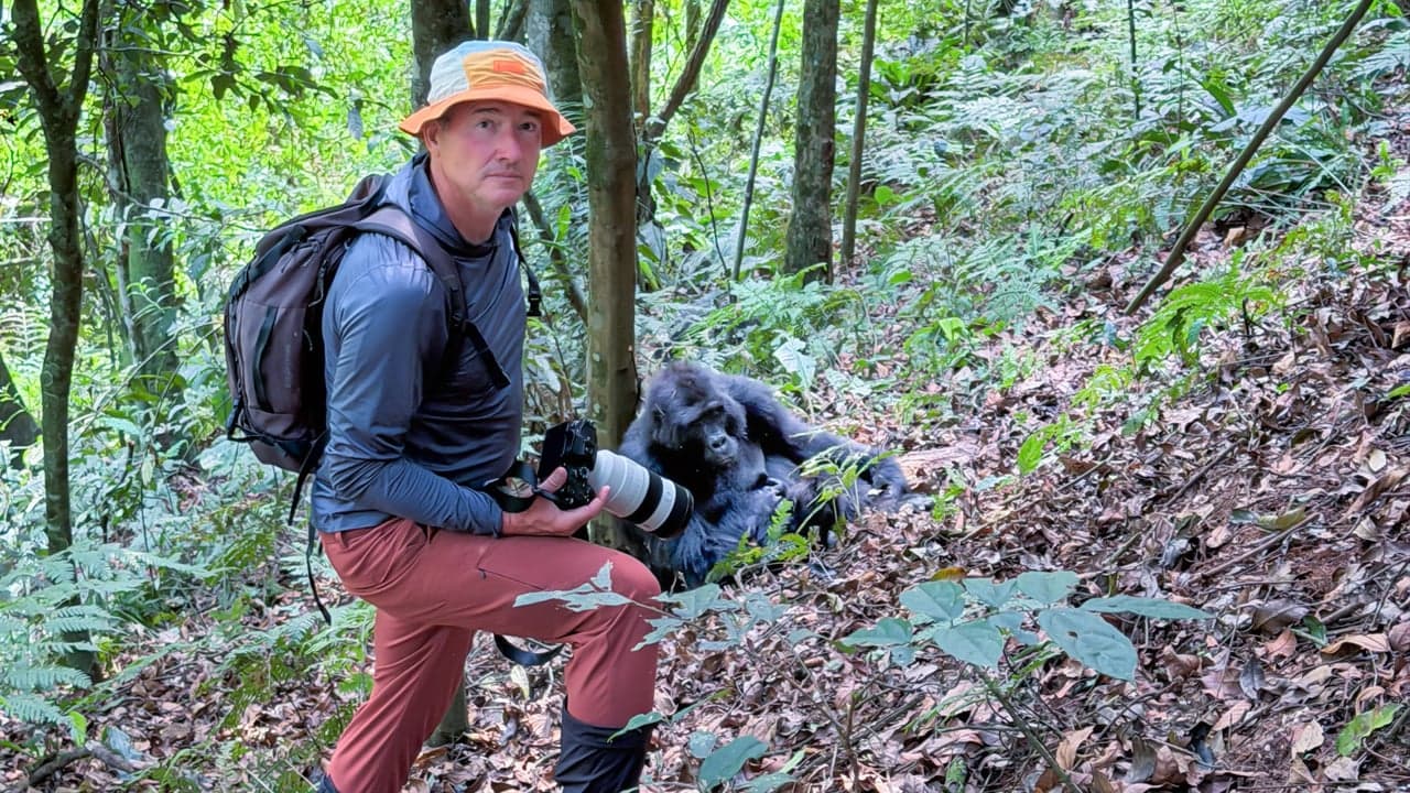 Uganda: Bwindi Gorilla Trekking