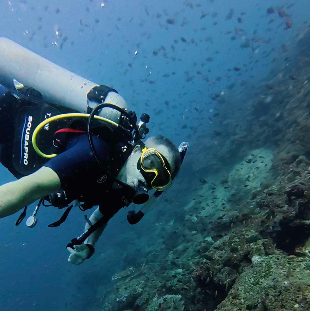 India: Highlights of Andaman & Nicobar SCUBA Diving