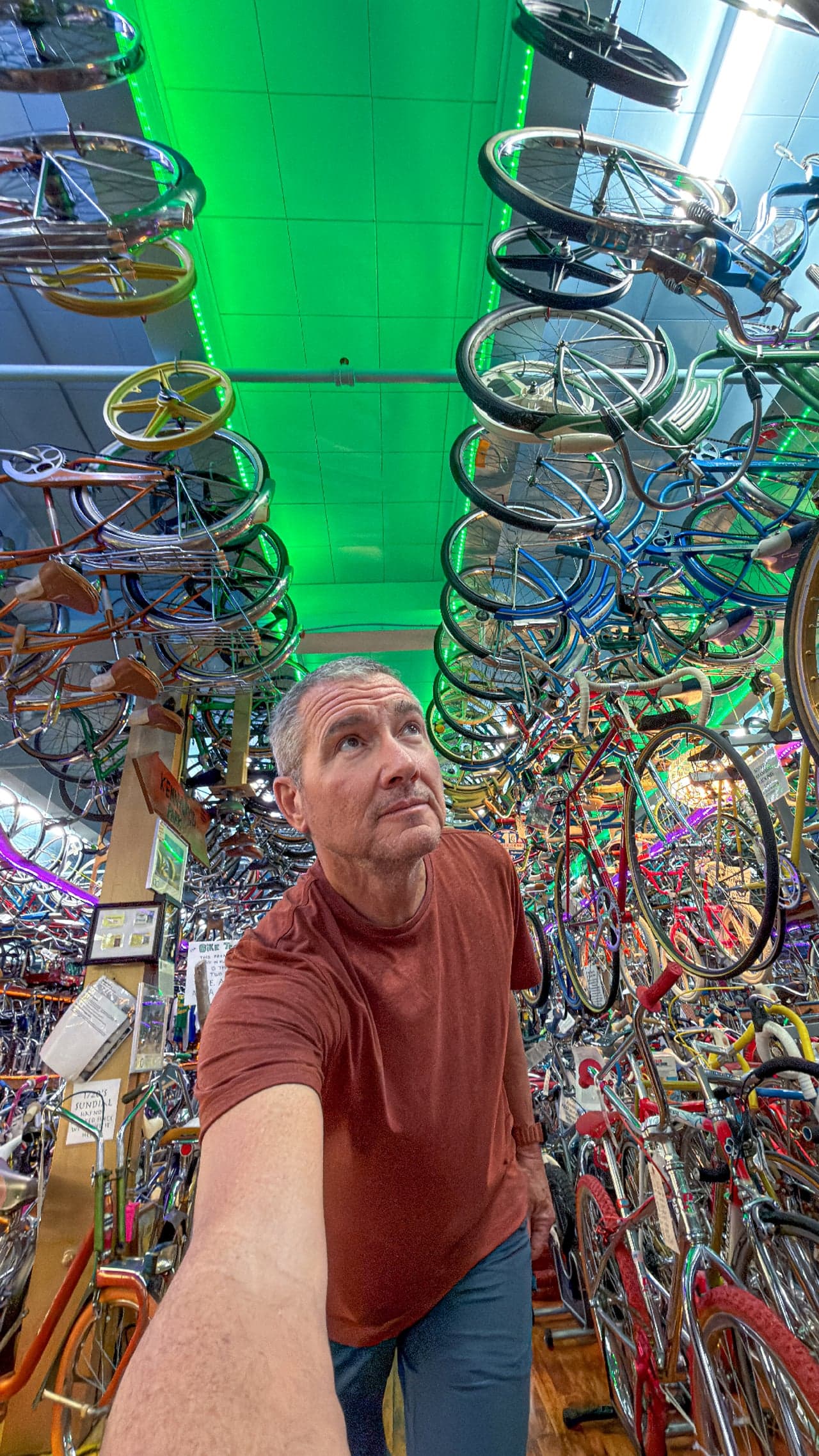 Bicycle Heaven